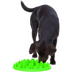 Green slow feeder pour chien